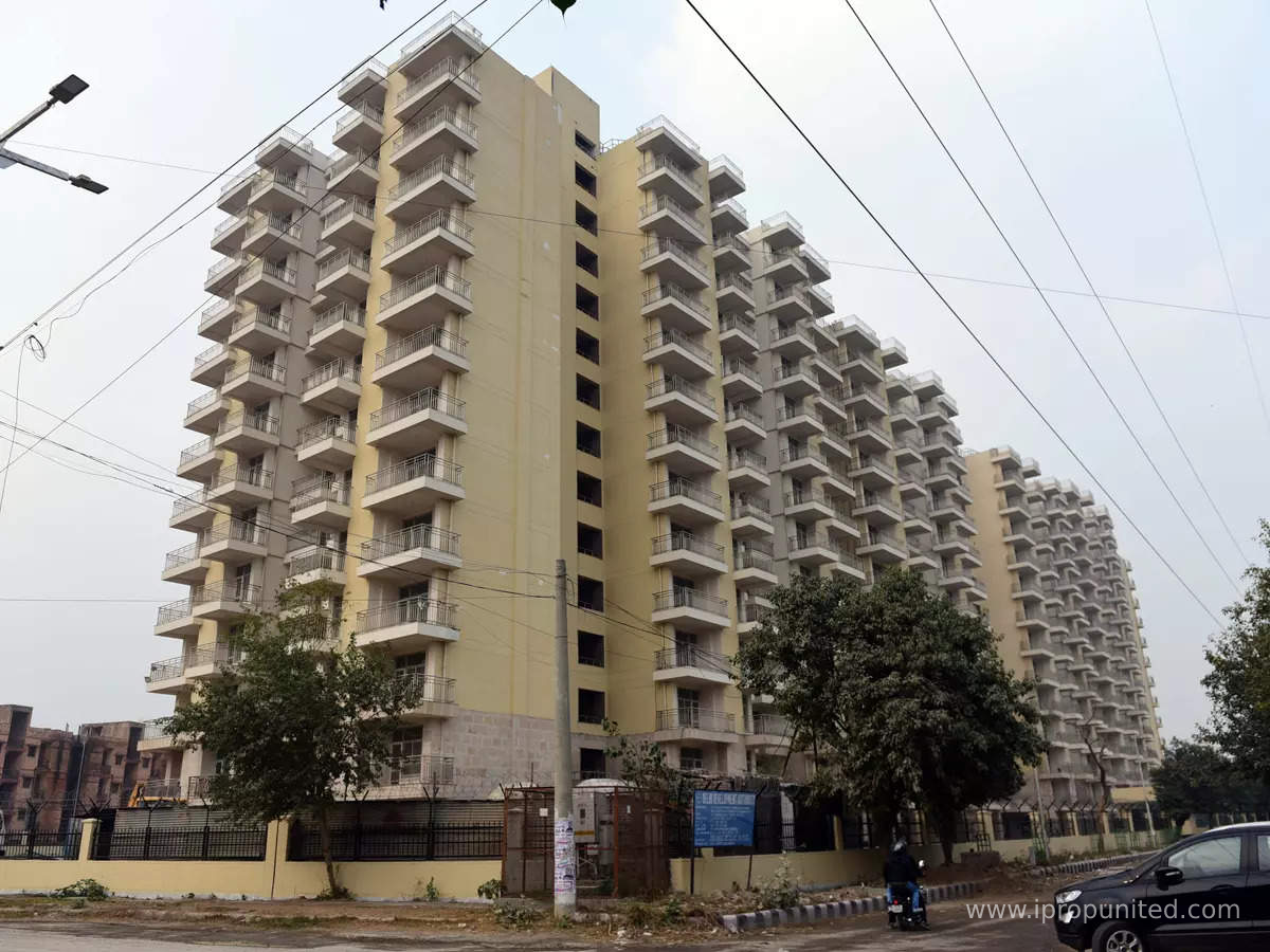 Over 50% flats are found surrendered in DDA housing scheme