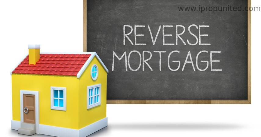 Everything You Need to Know about Reverse Mortgage