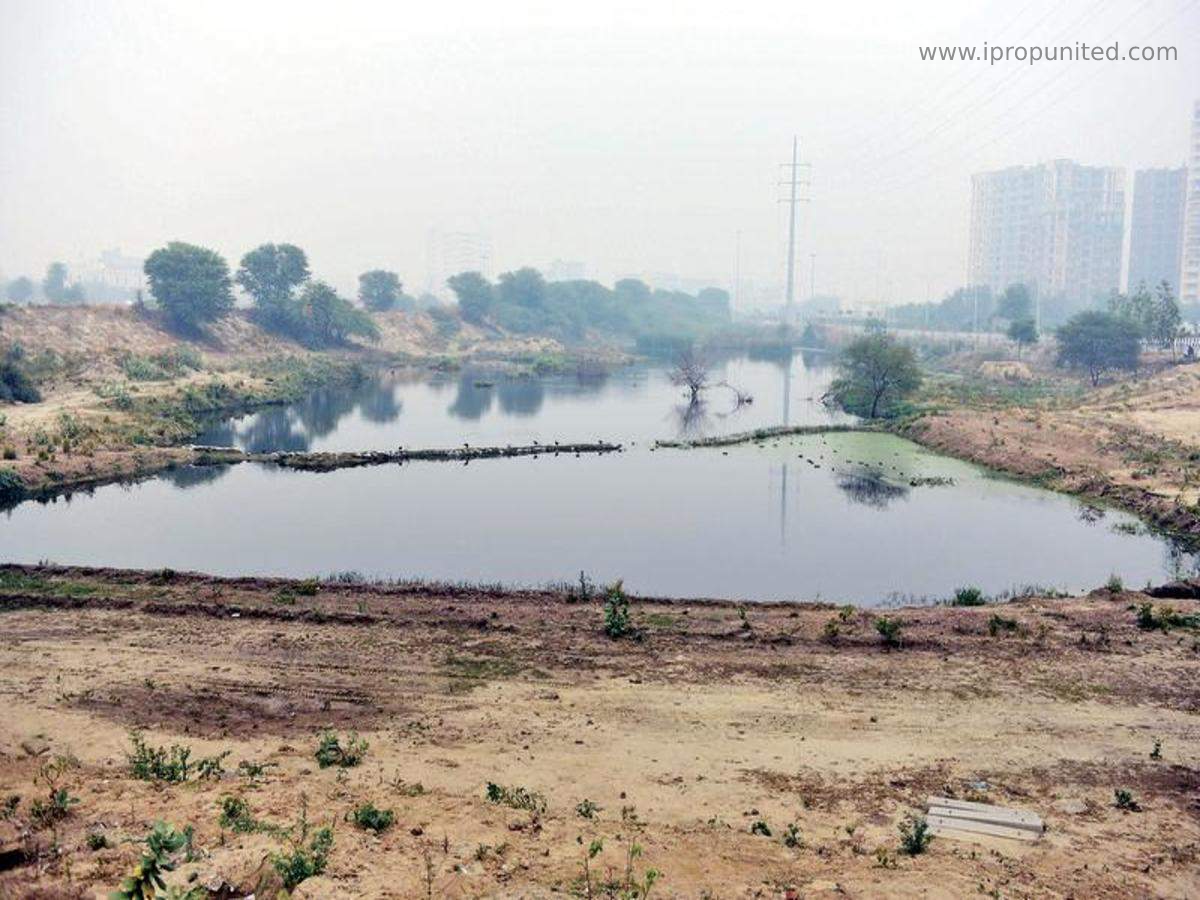 In Navi Mumbai development work has started on Seawoods plot Environmentalists
