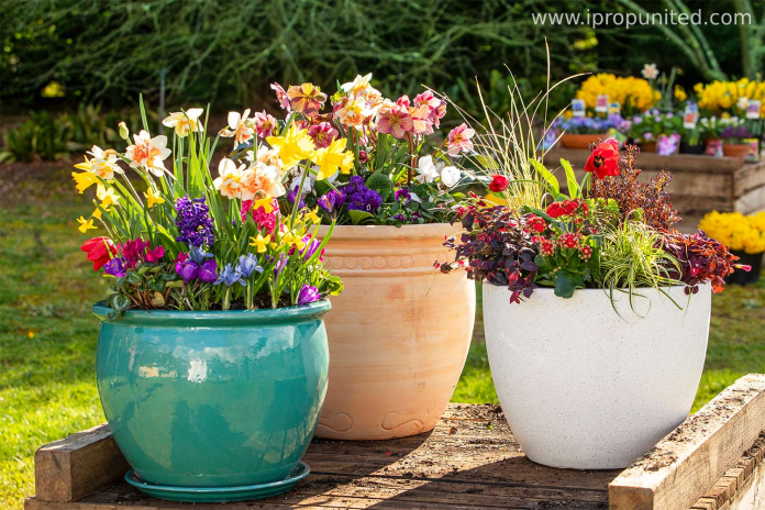 Design your own flower plots with these 5 Creative plot ideas - iPropUnited